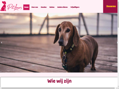 +31 123456 1234567890 2 2595 3 45646 60 88 adopter adres agentschap and api bank banknam bankreken beatrixlan bedrijf belangrijkst best dienst dier dnba donatie doner e e-mail eenmal eig enabl from gekocht get googl help hom hond huis iban info@site.info insert it jouw kat key kiez klant klar klik krijg les m mail mak map moet mooi nadat nederland nieuw nl00 on ondernem onz paypal per plugin prinses product properties schrijf sms stur tekst telefon to toe uniek vertel via voeg voordel vrijwilliger waarom websit welk wij your zull
