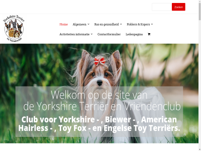 0 2026 aangeslot aankeur actiev activiteit agenda algemen all baasjes basis beginner beher bekijk belangrijk bent bestur betekent betrouw binn bouw club community contactformulier deelnem del diver draait duidelijk eerlijk elkar engel enig erkend ervar etentjes facebok facebookgroep fanpagina flickr fokker foto fotoalbum fris gelijkwaard geniet gezell gezond goed grag groep hand hel helder help hen hiermee high hom hond iederen informatie instagram jar jij kampioenschapsclubmatch kampioenschapsclubmatches kenner kennis klik koer komt koper kynologisch led ledenpagina leerzam levend lezing lid liefhebber lop makkelijk manier media meo nederland nieuw officieel officiel onlin ontmoet onz open organiser overzicht past plaatj plaatsvindt plezier positie precies presenter pup rad ras rass rasveren recht regel richtlijn rondom s sam samenzijn search sfer sit social stamboomhond standaard start stat sted sterk structur tea tegenwoord telt terrasmiddag terrier terrierrass toe toy transparant uitmak vastgesteld veren verloopt verschijn vind volgen volled voorbehoud vorm vriendelijk vriendenclub vriendendag waarborg war warm we webdesign welkom werk werkt werkwijz wet whatsapp wij word workshop yorkshir ytvc zodat