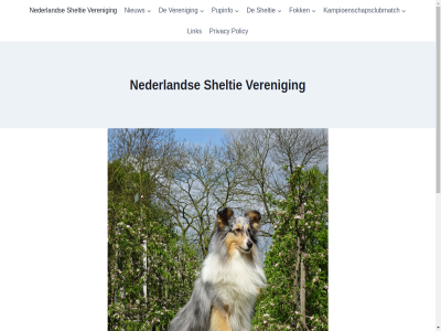 doorgan fok inhoud kadenc kampioenschapsclubmatch link nederland nieuw policy privacy pupinfo sheltie veren wp