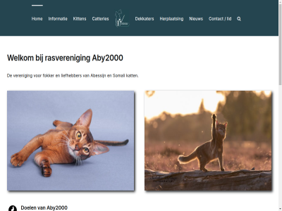 120 1882 1979 2014 45 aanbied aanmeld abessijn abessinie aby2000 aby2000.nl begon begonn belangrijkst bencreatief bijdrag buurland ca catteries contact copyright daarnaast dag dankt dekkater del direct doel eerst engeland enkel erkend ethiopie exemplar facebok fok fokker ga gebied gekom geled geliefd gen genenpol herplaats herplaatsbemiddel hoewel hom houd hulp incidentel informatie inhoud inkruis jar kat kennis kit kitten kitten- kwam land langhar led lever lid liefhebber mee mutaties n nam nederland nest nieuw officieel onderzoek ontstan onz oorlog opgev overlever promotie ras rasbeschrijv rass rasveren resultat s schat selectief serieus somali somalie specialist vandag vandan vel verbeter veren verlen vernoemd verzameld volgen voorlicht waarschijn war we welkom wetenschapp