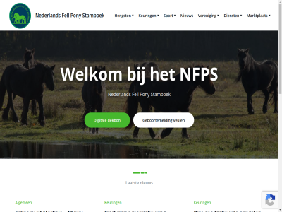 -785319 0 0162 12 13 19 2026 21 22 29 3 aankom algemen april bekijk by contact contactgegeven dag dekbon dienst digital drie en/of evenement facebok fell fellpony geboortemeld gehel georganiseerd goedgekeurd hart hengst hengstenbestand honeypres hulshorst iederen info@nfps.nl inhoud inschrijv jaarlijk jun juni jury kalender keuring laatst les link maart markelo marktplat mee meedoen merrie merriekeur mooi nederland nfps nieuw omgev organiseert plaatsvind plat pony powered privacyverklar proudly reglement rijd rit ruinenkeur sep september spicethemes sport spring stamboek stamboeksecretariaat statut them tijden toegevoegd tuss twee uur verder veren veul veulenkeur vond welkom wer wilt wordpres zaterdag zodan zowel