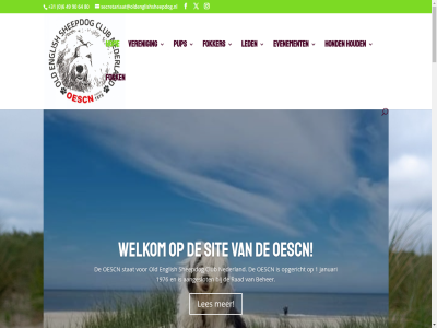 +31 0 1 10 1000 1106 14 1976 2 2025 3 4 450 49 59 6 64 80 90 a aangeslot amsterdam beher bent beoordel beschik best char charlot club clubkas contact daarna ded eb elk english euro evenement fok fokker gekoz geweld hart helas herfst hom hond houd indien international inzend januari jar juryled keuring kwaliteit laatst led les leukst lid maldenhof mann media mee mik mission nederland nestjes niet-lid nieuw oes oescn oktober old on ondergoedcommercial onz opgericht organiseert organiser pup rad ras regelmat regelnev regiovertegenwoordiger regiowandel ruim secret secretariaat@oldenglishsheepdog.nl sheepdog show sit stat supertrot toll trot uiteind verdien veren voorpret waarbij wandel war wauw we websit welkom wij wild zat zeeman zien