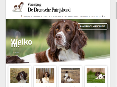 16e 2 2025 6988 aanmeld aanschaf account activiteit afkomst ah algemen all allemal allen anoniem archief behartigt belang bericht bestat bestur betekent bewaard bezoeker binn buitenland burg communicatie contactformulier copyright daarom del design doelstell drent drenth drentsch eeuw eigenschapp elder en/of evenement fok fokkerij frankrijk gebeurd gebeurt gebied gedeelt geinteresseerd gemengd genoemd gepassioneerd gereageerd gezond goed hecht hom hond hoogt houd ie iederen informatie informer intelligent inzicht jacht jachthond kenmerkt kijkplezier kindvriend klik knol kunt lathum led les mens michael middel mix molenstrat nederland nieuw nieuwst ontstond onz oost opmerk opnem orienter patrijshond plaatsvind prev rass raszuiver recht secretaris spanj spanjoel spioen staand terecht toegank training transparant trouw twee vanaf vdp veelzijd veren verschill via vooral voorbehoud vrag wandel wanner war we webmaster websit wedstrijd wel welkom wens werd will wim zer zoal zowel