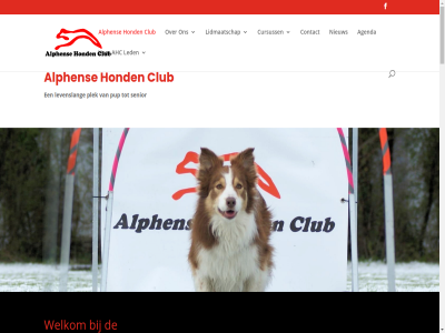 1970 200 2025 2404 255 aangeslot aanmeld administrateur afsprak afstand agenda ahc all allemal allen alph alphen apporteersport apporteervaard balan band barmens bas basis basiscommando begeleid behend behendigheidstrain bestuursled bevorder bezoekadres bied bijdraagt bp club coaching combineert combiner combisport communicatie complet connectie contact coordinatie coordinator copyright cursus cursuss cynophilia dag den dieper diver draait eigenar eikenlan energiek enthousiast ervar federatie fhn fit focus fun fysiek gedrag gehoorzam geniet gericht gerust geschikt gevolgd gewenst gezell gezond gg gg-less handj harmonieuz help hoepel hond hondensport hooper iederen info jou k.n.k klar klik kwaliteit led leeftijd leg leid ler les less leuk levenslang lid lidmaatschap mak manier mat mee mens mental momentel natur nederland nem nieuw obstakel oefen ontwikkel ontworp onz ophal opvoed opvoedcursuss organisatie overkoepel parcour passend plek plezier pup puppy puppycursus relatie respect rijn s sam samenwerk schoonmaker senior sessies sind sit snelheid socialisatie sponsor sport sportiev stan sterk stichting stimuler strev terreinonderhoud terugbreng train trainer training trainingservar trainingsterrein trouw tunnel tuss uitdag vaardig veelzijd vel verbeter veren versterk via volled voorop voorwerp vrag vriend vrijwill vrijwilliger war we wedstrijdniveau welkom wendbar werk wij word zowel