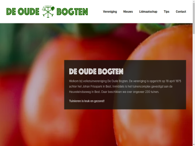 0320 100 15 18 1975 2026 21 230 24 3373 40 5684 9 aanbod achter achtergrond agenda algemen allerlei april bank bedenk beginn beschik best beter bezig bloem bogt buit contact cultur diversiteit dur eet eig experimenter flink frisopark fruit fysiek geeft geest geestelijk gesteld geteeld gevarieerd gevestigd gewon gezond groent hebt heuveleindseweg hom inmiddel invloed johan jou kijk klusjes kom komend kreijveld krijg kruid kunt kwek laatst led ledenvergader lekker les leuk lidmaatschap ligg maand med mens meter misschien moestuin moment mrt n naast nb nc nem nieuw nl58 nov ongever ontspann onz oogst opgericht oud percel perfect period positiev privacyverklar rabo rass realisatie reden ren rijpheid ruimt rust smak social suggesties tip tuin tuinder tuinencomplex tuinier tuintj veren verschill verser vierkant voeding volkstuin volkstuinveren volled voordat voordel vrag waarom wachtlijst wachttijd we websit wel welkom wet will zeker