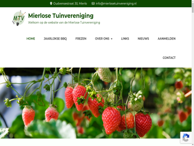 /bbq /bbq/ /frezen-van-tuinen/ 00 10 100 11.00 12 13 14 15 15.00 15.30 16 17 19 20 2021 2022 2023 2024 2025 2026 22 24 25 27 28 3 30 31 4 40 5 50 5731 6 60 7 70 8 aandacht aangelegd aangev aanmeld aansluit aantal aanvraagformulier aanvrag aanwez achterlat actief adres af afdel afgegev aftrek algemen all allemal alv ander animo augustus avond bak bas bbq bedrijv beetj beginn bekend belangrijk belangstell benaderd beperkt beperkter bericht beschik besprok bested bestur bestuurslid bestuursvergader betaalinstructies betal beteken beter beumer bezoek bezoeker bijdrag bijeenkomst bijzonder biologisch bloei bloem bock borrel boudewijn brievenbus burgemeester complet complex contact content craen dag dank december dekker del denk dergelijk dergelijke.er detj doel doorgev drie duidelijk echter een eerder eerst eig eigen elk elkar email energie enthousiast ervor etc euro eventueel extra februari feest feestelijk feit fijn fit formulier fraai frez gat geadverteerd gedeeld gef gehel gehoud geldrop geldrop-mierlo geled gelukk gemeent gemerkt geniet geopend gerard geschiedenis geslaagd gesprok gestart gev geweld gewon gezell goed goedkeur gratis gretig groei groent groep grond grootheest grot had han hangt hart hartelijk heemkundekr hel help herkoz hierdor hobby hog hom hop houtsnipper huishoud i.v.m iederen indien inflatie info@mierlosetuinvereniging.nl informatie inkoopacties inkop instantie interview introduc invult jaarlijk jaartj jam jar jij jong jubileum jubileumjar juli jullie juni ker kind kinder klein koffie kom koningsdag kopieen kost krant krijg krijgt kun kunt lag lang langzaaman lat led ledenvergader lekker lev lev-groep lez lid ligg link login lokal lokv lop maart machtig mak manier mee meegenom mei meibom meld mens methodes mierlo mierlos mierlosetuinvereniging.nl mierlosetuinvereniging.nl/bbq mierlosetuinvereniging.nl/bbq/ mierlosetuinvereniging.nl/frezen-van-tuinen/ moestuin moestuincomplex moet mog mogelijk moment n naast net nieuw nodig oktober ongetwijfeld on
