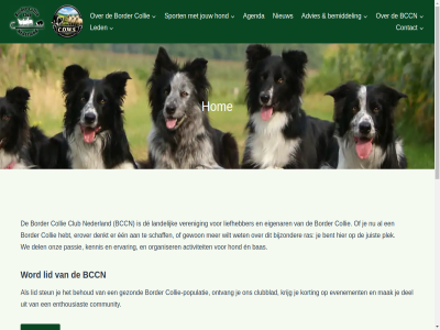 19 2026 21 30 aanvang activiteit advies agenda algemen all april bas bccn behoud bemiddel bent bestur bijzonder border club clubblad collie collie-populatie community contact cow de del denkt dinsdag doorgan een eigenar en enthousiast erover ervar evenement gewon gezond hart hebt hierbij hom hond informatie inhoud jouw juist kennis korting krijg landelijk led ledenvergader lid liefhebber locatie mak nederland nieuw nodigt onlin ontvang onz organiser passie plaatsvind plek populatie ras schaff sport steun uur veren we wet wilt word