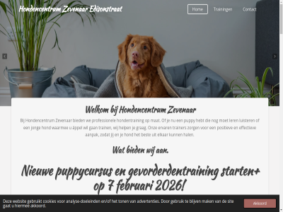 -02 -2026 .. 09 10 11 15 2023 2026 24uur 30 45 5 7 75 a aangebod aangeleerd aanpak aanrad aanwez aardig advertenties af afgemeld afhank africht afsprak akkoord all alwer analys analyse-doeleind appel appel-groep band basiscommando beloningsgericht benader bericht beslot best betaald beter bied bijna bijschol blaft blijv blok bouw by contact cookies cursuss dankzij de detectie detectie-speurwerk detectieless direct doel doeleind duurt e e-mailadres edisonstrat effectiev eigenar elk elkar en/of erg ervar essentiel euro eventueel extra februari formulier ga gan garantie gat gebeurt gebruik gebruikt gedragsverbeter gedrev geduld gehandteerd gehoorzaamheidstrain gehoorzam gelderland gelov geur gevorderd gevorderdentrain geword goed grag groep hal handter hebt help helpt herder hiermee hom hond hond/ras hondencentrum hondenschol hondensport hondentrain hoofdinhoud hulp iederen indien individueel info informatie instructric intakegesprek jarenlang jij jong jou jouwweb kant kopj kost lang ler lesblok less linda locatie luister luistert m.b.t mailadres mak mat mee mens nam nederland nem nieuw onderstaand onz opvoed over overleg plek positiev powered prijsopgav professionel programma pup puppy puppycursus puppytrain regio restitutie ronald s sam sit socialer socialiser soort speurwerk start sterk telefon tijden toe ton top train trainer training trainingsmethod trainingsprogramma uitvall uur vanaf varier verleend verschill verstand verzend vol vooraf vor vriendelijk vul waarbij waarmee wachtlijst wandel we websit welkom werk wet wij wordes zaterdag zevenar zit zodat zoek zorg