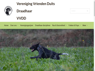2026 5 8172 aangeslot aangewez aantal actief activiteit adres af allen allround apporter ax bekijk belangstell bemiddel bent beschouwd beslot bestur bestuurslid breng clubblad commissies copyright daardor disciplines draadhar drie duit een eerst efficient elzenoord exterieurproev facebok fok ga gebiologeerd geniet gevoel geweld gezond glossy hog hom hond indien inhoud instructiedag jachtgebruikshond jachthond jager jar kamerad karakter ker komt kophoud kron lat led les let lid liefhebber meld menig mooi natur nazoek neus nieuwsbrief object ontmoetingsplat onz pagina per planmat postadres privacyverklar proev pup puppy ras rasveren robuust rod ruikt scala show sitemap special sponsor spor stek strak terrein tijd toepass toont train vaass vandan vel veren verenigingsblad verenigingsprijz verenigingswedstrijd verschijnt vier volstrekt voordel voorjager voorstan voorstat vriend vrijwilliger vvdd waarder war werk werkdisciplines werkgroep wij wijz wind workshop zien zoal zoekt zweetwerk