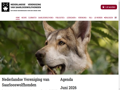 -13 00 1 10 11 12 15 191 2 2026 2200 2460 28 2a 40321350 45 5 5441pn 64 7 8033 agenda barneveldsebek behartigt belang belangrijk betrouw by camping clubdienst clubmatch correspondentieadres cp daarbij doel eigenschapp ethisch faq farm floreal fok fokbeleid gecentraliseerd geeft gezond herental herentalsesteenweg hoenderloseweg hom hond hoogst houd inlogg juli juni kasterlee kemp kennissessie kvk led ledenzak lichtaart lid middel nederland nieuw noorderwijk noorderwijk-herental nvswh oeffelt oevelseweg oktober old poelek power­ed praktijk prioriteit privacy­verkla­r publicaties ras rasstandaard rastypisch rasveren saarlooswolfhond scheperstrat stand the theorie ugchel uitsluit uniek ut uur verantwoord veren wandel wolfhond zwemvijver zwoll