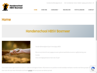 2026 25 achter advies agility agilitytrain behend bestat beweg boxmer contact cornelisstrat cursuss del en/of ervar foto gehoorzaamheidcursuss geschoold groep hanter hbsv hom hond hondenschol hondenschoolhbsv@gmail.com hondensportveren hondvriend informatie ingang inschrijv jar klein kun mat method modern mullem nem nieuw nr onz pad positiev puppycursuss ruim s sint sit sport team terecht trainingstechniek veren vortum vortum-mullem wandel werk wij