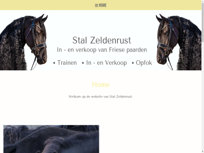 +31 2 28 37 4453vl 469 479 514 58 6 65 86 alwin arj auwert bell bernado binnengekom contact daarnaast eig enhoek eventueel filmpjes foto fries gerb hengst hengstveulen her hom informatie jarig kop kunt kwaliteitsvoll laatst mail momentel nederland nieuw opfok paard recent s s-her stal stat train twee verder verkop websit welkom werrilan x zeldenrust zeldenrust@zeelandnet.nl