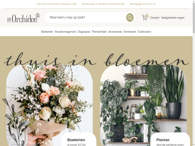 -3763312 0 00 038 08108141 12 12.00 13 17 17.50 18 20 21 30 312 37 50 63 8 8091 aardewerk accessoires afscheid algemen april begin bekijk best besteld bestell bezorg bijdrag bijzonder bloem boeket btw cadeaubon complet contact dagelijk dagtopper do droogbloem duurzam e eervoll gevoel goed grag grot hand hattemerbroek herinner hieran huis info@deorchideewezep.nl interieur jn keuz kies kvk l lat liever m ma maandboeket mak meidoornplein mogelijk mooi nem nl812594381b01 onz openingstijd optie orchidee passend passie perfect person plant plantschal product rouwarrangement rouwboeket rouwstuk selecter shop t t/m telefoonnummer tijdlos uitgevoerd uur vanaf vandag veelgesteld via vind voorbeeld voorwaard vr vrag wens wezep wij wijz xl xxl za zien