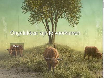 .. 2020 2026 aangat aannemer aanpak aansprek aanwez achter actueel afgelop afhank afleider all analys annemiek annemiek.boelens@opteamise.nl arbo b.v barrièr basisworkshop bedrijv begeleid begeleidt beheers beheersmoment beheerst bekend belangrijk benodigd benut bepal bereik beschik besluitvormingssituatie besprek bestat betrokken bevat bewaakt bewak bewustword bezoek bied bijna binn blijft boelen boodschap bouw bovenstaand bred breng categorieen central coach coaching communicatie competenties complex concret conferenties contact context continue corona creeert crer cultur daarbij daarin daarmee daarvan dag dagvoorzitter deelnemer definitie del denk digital dilemma direct doel doelstell doet draagt drie druk duidelijk dynamisch echt effectiev eig eigenaarschap eind elk elkar en/of energie enthousiasm erg ernstig erop ervaart ervar ervaringsgericht ervaringsverhal essentie essentieel factor fal farmaceutisch film focus focuss fysiek gam gan gat gebeur gecreeerd gedachtengoed gedeeld geding gedrag geeft gegeven gehad geintegreerd geleerd gelov gemaakt geplaatst gericht gesprek getraind gev gevolg gezamen gezond goed grag groei groep grot hand handhav hazop hel help herkend herkenn hierbij hiervan hog hoger houd huis ieder iederen ilt impact improvisatievermog incident inclusief industrie infrastructur ingericht ingezet inhoud intentie interactief interactiev interventie interventies inzet inzicht jar kalibratie kalibrer kenmerkt kennis ket kick kick-off klant klantenkr klantvrag kom kracht krijgt laatst lag lang lastig lat leadership leeromgev leert leider leiderschapsinterventies leiderschapsprogramma leidinggev ler lering letsel leuk lin loopt mak management manier mat medewerker mee meegewerkt mens menselijk moc mog n naast nagebootst neemt nem niemand nieuw o.a oefen off omgev on on-lin onderdel ondersteun ondersteunt onderwerp onderzoek onduid ongeluk ongevall ontwikkel ontwikkeld ontwikkelt onveil onvoorzien onz oorzak opbouw open opgesteld opgetred oprichter o