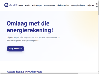 -303 085 39 5392 5521 aandacht aanstur advies adviser ak algemen auto automatisch batterij begint begrip beinvloed benieuwd bespar bijna boiler bv consultancy contact cookies dakindel del diligent dynamisch echt een eersel eig elkar en energie energiemanagement energiereken energiesystem garanties gebruik gebruikt gemiddeld gericht gevall grip haalt helpt hierdor hom huis huishoud inspel installateur installatie installaties kiez kijk kunt laadoploss laadpal lad lag lat later les los markt maximal meedenk minder monteur net omgan omlag ontworp onz opbrengst opgeslag opgewekt oploss optimal overtoll pas past person praktijk praktijkgebruik praktijkvoorbeeld privacy product project referenties regio request@diligent.nl sam samenwerk servic situatie slecht slim slimm standaard stopp strom stroomprijz system tariev techniek teruglever thuisbatterij toekomst verbruik verdel verdubbel vermog voorbereid voorwaard vrag waarom war werk werkt wij zonn zonne-energie zonnepanel zorg zwembad