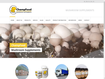 +31 -760220 0 13 2024 478 5821 aanvoer about and applicabl are ask bewar champfod champinter contact cooperativa crucial don e ea es form googl grondstoff hesitat hom info info@champfood.com information international jij latest molenweg mor mushrom netherland new nir nl operator opstart order overzicht pl policy privacy proces product productie protected quality question read recaptcha ru rust s sales schakel servic services soc supplement t term the this to us vacatur ve vierlingsbek with your