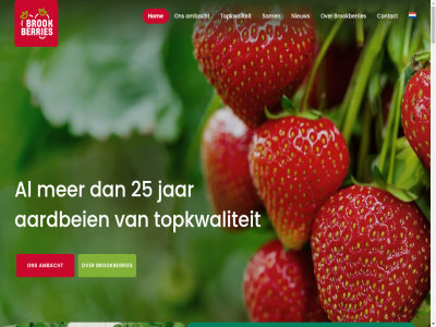 +31 0 16 1999 2025 24/7 25 5 5951nl 774752229 aardbei aardbeienteelt afzet allen ambacht belfeld best bloed brookberries bur categorie concentrer constant consument contact copyright cultur daarnaast dagelijk de direct draagvlak e eerst eindgebruiker elkar en ervar eugenia familiebedrijf families fossa fruit gedrag gelov gemeent geteeld geur glas goed groent hart hom hoogwaard houdbar hulp info@brookberries.nl inzet jaarrond jar jarenlang jasj kass kennis ket klant klar kleur koelesweg komt kort kracht kwaliteit lat lekkerst ler les locaties mak manier medewerker meest mens milieu modern modernst nieuw omgev onz opgedan overgav partner passie passievrucht plant plat proces producer product roemen rond sam samenwerk sind smak specialist stan stat stekj stom t techniek teelt tel ten toekomst topkwaliteit topteam twee uitgegroeid uitzonder vakkennis venlo verantwoord verbind verlop via vijf vol vorm we wij wijz zet ziel zit