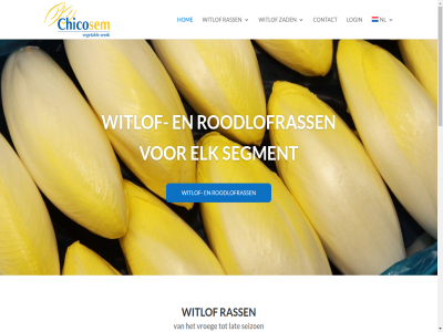 +31 0 004 14098765 2026 475 4a 549 6065am aanbod aanwinst ah ah-webgraphic algemen bedrijfszeker bel belang betekent betrouw bewaaradviez bewerk biedt bijvoorbeeld by ceralie chico chico-groep chicogrow chicogrow.nl chicosed chicoseeds-int.com chicosem cms cms-verklar contact copyright daarnaast decennia del designed detail dieprod disclaimer diver doelmarkt du eis elk experimentel fakir first gat gebracht gedifferentieerd gedifferentieerder gehel gelang gemak gezocht gmo gmo-verklar groep grot hog hom hoquet hoquet-programma hybrid iederen info@chicosem.nl informatie jar julianastrat kroptyp kropvorm kvk kwaliteitssegment laatst lady lag lang lat leest levert link login maakt mail markt marktsegment meerder mid montfort nem nieuwst nl ooit opties optimal overzicht partner per pitvorm potentieel prachtig privacy productie professionel programma ras rasinformatie rasontwikkel rass rassenspecificaties rendement roodlof roodlofrass segment seizoen specifiek standaard stat sted sterker teler uitstallev useful verander verhoogd verklar vintor voldoen voldoet voorwaard vrag vroeg webgraphic websit wereld witlof witlofsector zaadspecificaties zad ziektedruk ziektegevoel