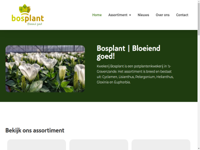 -414138 0174 14 2007 2021 2691 27 3 94 aantall aanvoer antwerp assortiment begonn bekijk bestat bloeiend bos bosplant bred buro compagnon contact contactgegeven cyclam dag den draait drie emailadres euphorbia flower glimlach gloxinia goed gravenzand helianthus hom huis info@bosplant.nl informatie j jan jell johan klein krijg kwekerij laatst les lisianthus mailbox mei nem netherland nieuw nieuwsbrief ontvang onz pelargonium ph potplantenkwekerij routebeschrijv s s-gravenzand samenwerk schrijf seizoen sind soort stal sunsation the timelap vader verder verstur voornam vorm we websit wer wet zanddijk zogenaamd zon zonnebloem
