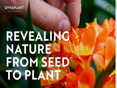 2678 4 aanpak aantrek aanvull addres allen assortiment b.v balan bedrijf begint bekijk benieuwd bent bereikt bestell beter bijdrag bijzonder biologie blikvanger boll breng brengt cadeau calla commercieel complet contact creativ daarbij dag del des digital doel doorstan draait dreig duurzam dynaplant eeuwenlang elegant elk en enthousiast erkend exclusiev exotisch floriday from gan garander garant gat gelov geluk geluksmoment gericht geselecteerd get gewon gezell gezond glimlach goed grag groeiproces groothandelar grot handelsplatform happy harmonie help hen huis huiskamer indrukwek innovatiev interieur jezelf jouw kamerplant kantor karakter kasteelweg klant klein kleur klimat kun kwek kwekerij leerwerkbedrijf ler lev levend lever lier locaties maatwerkoploss magie mak markt meest meesterwerk mens milieu mind mooi natur nem netwerk nieuw omgev ontdek ontwikkel onz opnieuw particulier pas perfect plant plek potentieel prachtig product productieproces professional reis retailer retailruimt reveal re­veal sc sed sierteelt sleutel sluit so speax stan stap stat sterk stijlvol student symbol talent tand team teelttechniek tegelijkertijd thuis tijd to toe toewijd touch tuss uitdag uiteraard uniek us vakmanschap vandag verder verdwijn vereist via visit voeg volled vorm vrolijk waard wanner war we websit wereldwijd werk wij with zaadj zad zakelijk zodat zoek zorg zorgvuld zowel