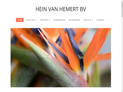 1 2 20 2025 2026 3 30 advies af allen b.v basis bekend bekijk bericht bescherm besproei bijzonder blader blauw blijf bloem bloemsched bov bv by central contact control controler dek direct doek drie driehoek e e-mailadres eerst elegantie facebok fier floriday fraai frêle ga geeft geheim genez goed grijsgroen groen handelsbedrijf hanenkam hein hel hemert herhal hom hoofdinhoud informatie instagram international jar jouwweb kenn ker kraanvogel krijg kroonblad kuif kunt kwaliteit last lever liter luis luiz maand mailadres makkelijker meng middelpunt middeltj ml mos moswand nam nauwelijk nem nicolai nieuwst nodig ogen onderkant ontdek ontwikkel onz opbouw opgekruld opstaand oranj pak parader paradijsvogel passie per plant plantenspuit plastic poet pot potplant powered product productie regelmat reginae s schutblad seizoen sierlijk simpel slank snijbloem specialiteit stan stel strelitzia tip totdat twee uitroll uniek vaatdoek vakmanschap veelgesteld verdwen verzend verzorg vlek vloer vochtig vooral voorkom voorzicht vrag warmer water weg welk welkom wij zep zie zit zorgt zowel