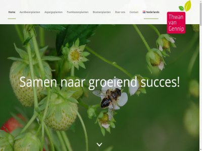 -12 -17 0 00 0031 1999 24 27 30 33 45 492 5715 6 8 aantal aardbei aardbeienplant advies allerbest asperg aspergeplant asperges bedekt bedrijf bedrijfsactiviteit bent bezit binn borging bov bram bramenplant buit bv c.s communicatie contact copyright daarnaast daarom dagelijk design deskund e echt eindj enthousiast extra f familiebedrijf framboz frambozenplant gecertificeerd gennip geslot gevestigd gewass gezond goed grag groeiend hallo hog hom hoofdlocatie hoogstaand hoort i info@thwanvangennip.nl informatie inmiddel international kass kernwaard keuring keurmerk kilometer klant kwalitatief kwaliteit kweker lekker levend leverancier levert lierop liz locaties ma ma-vr markt missie naktuinbouw national nederland onz openingstijd opgericht overgenom percel pk plant plantmateriaal product productieteelt regio sam schakel scroll sectie select servic serviceopvat simon stat sterk stral substrat succes t team teelt teeltadvies teler thwan toegevoegd toelever toonaangev tunnel uitgegroeid uitstek vaandel vader vall vanzelfsprek versproduct voedingssector volgend voorzien voorziet vr waard welkom wer www.thwanvangennip.nl za zachtfruit zer zon zorg zowel