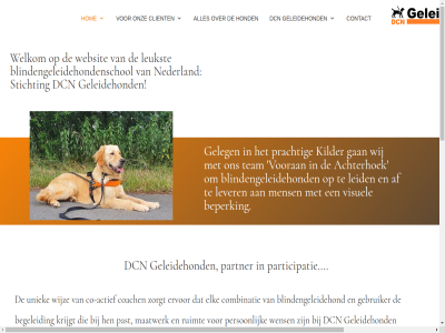 aanvrag achter achterhoek actief af begeleid belangrijk beperk betrek blindengeleidehond blindengeleidehondenschol client co co-actief coach collega combinatie contact dcn denkt diepgaand elk ervor familie gan gastgezin gebruiker geinteresseerd geleg geleidehond geleidehondengebruiker goed groep handicap hecht hen hom hond informatie interes kilder kracht krijgt kun leid les leukst lever ligg maatwerk medewerker mens nauw nederland net onz participatie partner passie past person prachtig rond ruimt s stichting team trot uniek vanweg vanzelfsprek verder vind visuel vooran vriend vrijwilliger war we websit welkom wens wet wij wijz zorgt