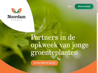 2023 2024 blijft contact direct groenteplant info jong kwekerij nl noordam opkwek panorama partner plant privacy studios websit