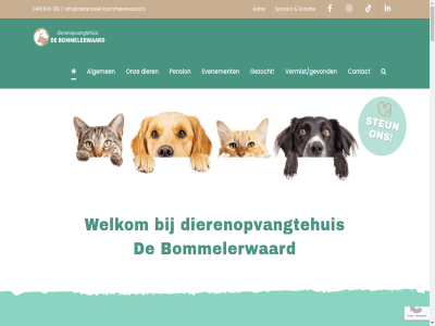 00 0418 1 10 11.00 12 129 13.00 15 16 2 2026 29 30 31 64 643 activiteit adopter adoptie adres afhank afsprak afstand afstandshond algemen all allen anbi artikel asiel assistent begrijp beheerder bekijk bel belangrijk bereik bericht/e-mail best bestan bestuurslid bezoek bied binn boef bommelerwaard bovenan bruchem buitenland categorieen central company contact contactpagina copyright cyta daarom dankbar del detail dier dierenlot dierenopvangtehuis dierenpakket dierenwelzijn digital dob donateur donatie donaties draaiend een eerst ervar even evenement ga gedan geld geled gereserveerd geslot gev gewaardeerd gezocht gift grag groep grot hal help hieronder hond hop houd huisdier hulp info@dierenasiel-bommelerwaard.nl informatie inhoud inzet jaarlijk jij jouw kameraadj kat kennel kennismak kom kop krijg kun kunt laatst leuk liefd liefdevoll lokal maandag mak meert merci neemt nieuw nod nodig onmis onvoorwaard onz opvang pension petjes plek policy post privacy red redesign regelmat ruimt s sam schrijvertjes social sponsor sponsortariev spulletjes stag stat steun stur t/m tariev tass telefonisch telefoonnummer thuis troost trouw tuss twee uiterst uitgelicht uitsluit uur vangt vast veelgesteld veilig verhal verkop vermist vermist/gevonden verzorg vind viv volgend vrag vrijdag vrijwill vrijwilliger war warmt we websit welkom werk werv wij zamel zaterdag zet zoal zoek zondag zonnetj zorg zult zwerf zwervend