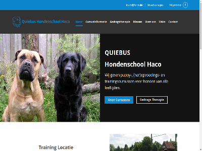 -45193671 06 2026 actuel afsprak all barbara beginner bell benieuwd contact copyright cursus cursusinformatie cursuss dienst ga gedrag gedragstherapie gehoorzam gev gild haco help her hom hond hondenschol huisregel informatie inhoud inschrijfformulier kunt leeftijd link locatie mak meest meld moergestel nieuw omheind onz opvoed puppy quiebus sebastiaan sportpark st stokeind terecht therapie training trainingscursuss trainingslocatie veld volg vrag wij wilt