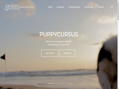 -26178304 06 10 1996 22 2661 29 4 algemen anderman baasj bas basis basiscursus begrip bekend bergschenhoek beroepsmat chantal contact crer cursusaanbod cursuss daarvan dad dagopvang datum deelgenom donderdag echt eig en ervar evenwicht facebok gedrag gedragstherapeut gedragstherapie gekek gespecialiseerd gestan gev gevorderdencursus grot handschrift hart hel herkent hoek holland hom hond hondenschol hondentrainingscentrum huis ieder info info@hondenschoolrotterdam.nl inschrijv institut januari jar jk kant karakter kennis ker kijk klant kondig linker locatie lop loss mag mak maxin mee men menu meten method methodes nieuw noem olfer omgev onz ooit opvoed organiser parkeerterrein past per person plein plezier policy privacy privetrain probleemgev puppycursus rad relatie rottebandref rotterdam rust sind skylar social specialist start strand strandtent strandwandel train trainingsadvies trot tuss vervolgcursus verzamel via vlak vol volgend voorwaard vreugd war we welkom werk wij zegg zodat zull