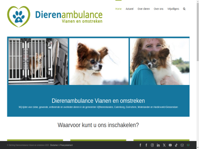-0441199 .. 085 2023 5 achterhal actueel all allen ambulancerit assister bel beleid benader betrok braderieen brandwer breng culemborg daarna daarnaast dag dagverblijv dav deurwaarder dier dierenambulanc dierenart dierenkliniek direct disclaimer e e-mail eerst egel eigenar etc eventueel expertis facebok ga gecertificeerd gemeent gemeentes gev gewond giessendam gorinchem gratis hal hardinxveld hardinxveld-giessendam hierin hiervor hom honk huis huisdier hulp hulpverlener indien informer inhoud inschakel instagram intranet kinder klaarmak kunt les lever linkedin mail manier merendel mogelijk molenland omstrek ontheemd onz opdracht open opgenom overled particulier passant plaats politie presentaties presenter privacystatement prober rampenplann rijd rijkswaterstat roep schildpad schol situaties slang snelweg sponsordag stichting tiktok tnrc tnrc-beleid uitzonder vangkooi verantwoord vergoed vervoer verwilderd verzorg vian vijfheerenland voer vogel vogelvlucht vrijwilliger waarbij waarvor wanner war we welkom wer werkgebied werkzam wij wild x youtub ziek zwan