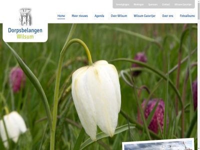 -02 -2019 -2031 1 12 1213 19 19.00 20.00 2019 2025 2026 2029 27 3 35 4 5 55 700 9 aandachtsgebied aantal aanwez achterban actief activiteit actueel aed afgelop afhaalpunt afstot agenda alexanderenmarielle.riezebos@hetnet.nl alin all ander andries april authentiek avond bedrijv begrijp beheerder behoud bekijk belanghebb belangrijk belangstell bestemm betrek betrok bevolk bevordert bevrijd bibliothek biedt bijgewoond bijker bisschop blek blijv boek boekj bouwershav bouwloket breng brief brouwershav buckhorst burenplicht cbs clubjes cohesie contact contactformulier contactperson container coordiner cpo cursus daarbij daarom data delta dijk dirc dld donderdag dorp dorpsbelang dorpsbelangen@wilsum.info dorpsbelangen@wilsum.nl dorpsbijeenkomst dorpsgenot dorpsgid dorpsweg drent drie duurzam e e-mail eerst energietransitie enkel erg erik erikhekhuizen@hotmail.com etc euphonia even februari financien fotoalbum frieseweg functie functioner gasthuis gasvrijer gat gebied gebouwd gebruik gegev gelukk gemaakt gemeenschap gemeent genoemd geschiedenis gezamen goed grafhorsterweg grag groen grotendel hard harsenhorst hav heerenbroek heidi hekhuiz helas hen henric het hierbij historie hoev hom hoofd hoofdsponsor horig houd hybrid ideeen ijssel ijsselmuid immer infrastructur ingezeten inkop inlever inloopspreekur inwoner isolatie januari jar jij juni kamp kamperzeedijk kans kant karakter kerk kerspel keuzes koppelerwaard kort kwaliteit lang led leefbar len les lever lez lid link maakt mail mak manier mariell meedenk mens mfc milieu mobiliteit moet mogelijk mol moment muziekveren natur nem nieuw nieuwbouw nieuwenhuis nieuwsbericht nodig noem november oktober onderan onderhoud onderstaand onderzoek ongever ontmoetingspark ontspann onvoldo onz ooievar opbrengst open otto oud oudjaarsfeest overijssel papier partner penningmeester per period plaatsvind plat plek project raadpleg reanimatiecursuss recent regelmat regenbog richt richting riezebos rini rivierduin rol ruimt s s-heerenbroek sa