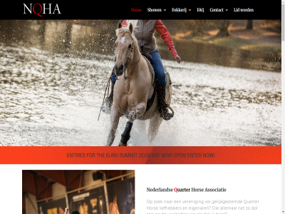 0 1 11 13 14 2 2025 2026 25 28 30 31 3770 423 9 aanmeld activiteit actuel affiliatie ak algemen all allemal apha april aqha aqha-affiliatie aqha-led are associatie award barneveld bedoeld bent bericht bezig bijzonder binn championship clinic community contact content copyright del demonstraties dol dutch eigenar enter entries ervar euro european europes evenement fanatiek faq februari first fokkerij for futurity geinteresseerd geleg gelijkgestemd georganiseerd gezamen grag groei hart hengstenveil hieran high high-point hom hor houd huishoud hulp ideeen informatie informer international jaarlijk januari jij jou jouw juni jurer juryled kennis led legg ler level lid liefhebber luxembourg maart maturity meebied meedoen meehelpt meestrijd mei mission mog nederland nem net netherland nieuw now nqha nqha/qhal nrha nsba official oktober ondersteun ontwikkel onz open opnem organisaties organiser orienter paint papierwerk parat plann plat point post postbus prachtig prag procedures promotie q quarter quarter-liefhebber ras reglement regulation richt rules sam second seminar september show showregel skip sluit social sponsor ssa stamboek start statement stur summit t/m the tijden to trainer uarter vandag veelzijd verdiep veren verzorg vindt vol vrag waardevoll waarom we welkom westernsport wij will wissel word zoek