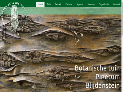 11.00 1217 125 14 2 21 5 60 7 afhank agenda augustus beheerd belangrijkst bezoek bijzonder blijdenstein bosbad botanisch cms collectie conifer contact cycaspalm dagelijk design dg diver e.d een ephedra ervar evenement filmmuziek gast gehel geniet geopend gespecialiseerd gestred gezocht goois graphic help herbergt hilversum hom hsg huwelijk info info@pinetum.nl inschrij interes international inzet jaarlijk japan jar jeugd jeugdschaaktoernooi juli juni kinder klassiek klein kunt les lindenlan maakt med meesterwerk naast national nederland neemt netherland nvbt omvangrijk onderdel ontvangst open openingstijd optred organisatie organiseert orkest overzicht paviljoen pinetum pinetumorg@gmail.com pj plantencollectie pop prachtig privacy programma rododendron rondleid rout rustig s sam schaakgenootschap shinrin spel start statement steun stichting telt ter trofee tuin uitgelicht uur vaderdag vanaf veren vergader verhur verjaardag verschol verzamel via villawijk vogelenzang voortbestan vrijwilliger waard wandel webdesign welkom wer wereld wij will yoku zie zoek zondag zull