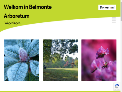 2025 365 53750497 94a aangesteld afdel agenda algemen arboretum begin belmont berceau berg bewonder bezoek bezoekersinformatie binn biodiversiteit blijv bloei bloem bog collectie dag dagelijk dennis direct directeur doner e e-mailadres elk elkar evenement foulkesweg geeft general geniet geopend geplaatst gud heksenmonument historisch hom hoogt iban inclusief inventariseerd jar juli klik knnv koer kom konink krijg kvk lent les maart magnolia mail mailadres menu moment nadat natur nederland nieuw nieuwsbrief nl29abna0430409699 officieel omstrek ontmoet ontvang onz open per s schrijv sind sitemap social spel uitgebreid uniek vanaf veren via voorzien vrag vrijwilliger vul wagen wandel we welkom wer zonsondergang zonsopkomst zuidrand