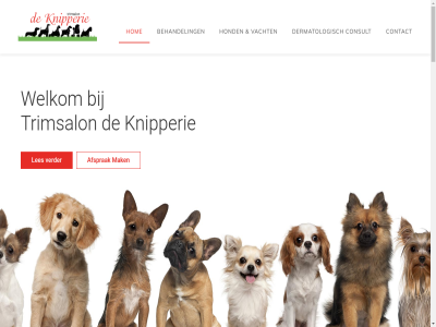 -23 06 1985 2009 2020 23 27 3784 90 94 aandacht aangepakt adres adviser af afsprak algemen all allemal allen amersfoort anaalzakontstek arker barneveld bedacht beginn begonn behaald behandel bent bericht besmet besprek blanckenhoef blijv boodschap callenbach carla combiner consult contact contactformulier daarna denk denkwerk dermatologisch dierenart dierenartsassistent dierenkliniek diploma drie drie-callenbach e e-mail eendrachtstrat eigen enkel ervar eventueel eventuel fok ga gan gebeurt gebitsproblem gebor gebracht geeft geknipt gelop geraakt geschor gewerkt gezin gezondheidsproblem goed hang har hel hom hond hondeneigenar hondenshow hondentoiletteerbedrijf hondentrimm hondentrimsalon hondentrimster huid huis huisdier info@trimsalondeknipperie.nl informatie inmiddel jar jarenlang juist ka kan kennel kennelnam knipperie kort kreg krijgt kunt les liefd lop mail mak mas mens model mogelijk naast nam neg nestj netjes nijkerk officiel ogen oor openingstijd opgevat opleid overgewicht paraveterinair paravetrinair plan professionel professioneler pup raadpleg rasstandaard realisatie reu rond ruwhaarteckel ruwhar signatures spoedig spreekt stag standaard teckel teckelkennel teckelvirus tegengekom telefonisch telefoonnummer terschur teruggebeld tev tijden toe trimbeurt trimm trimsalon twee uitziet vacht vachtproblem vanuit verder verplicht voicemail volgen voorwaard vrijheid waardor war welkom wens wer werk werkzam wilt won zes zoal zomer zorg zovel