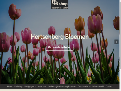 0 2020 2023 bloem by contact ga groothandel hb hertsenberg hom jouwweb powered privacybeleid shop ver vestig voordel webshop werk
