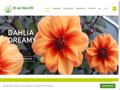 2026 50 aanbied aanbod aanvaard actiev algemen all assortiment availabl bedrijf bekijk bied binn bred breeder buitenland bv canary cardinal catalogus contact cookies currently dahlia download dreamy dynamisch euphorbia eyes ga garant gebied gebruik geschikt hog hom inhoud innovatief instell jar jong kamerplant kleurenscala kwaliteit les lijn list m milli millii naast nam nauw neptunes nieuwst no omstand onthoud ontwikkeld onz overlijst plant product productie professionel rass recht s samenwerk sector selectie sierteelt soort stat stock toepass tuintafel uitgangs­materiaal ven verder veredel verkop verschill volled voorbehoud voorkeur voorwaard vulcanus werk wij zoal zomer