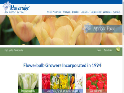 +31 /team4school 0 1744 1994 2024 22 224 37 44 55 a about advic agreement and are association b.v bas blooming breeder breeding bv center color contact copyright counsel creating crocus customer daffodil development disclaimer exampl exclusiv export flower flowerbulb for garden gef gegeven greenhous groenveldsdijk grower hav high hom incorporated inhous inlogg int international irises landscap licen locatie maart mail@maveridge.com market maveridg media muscaris netherland newsletter nursery offer on our pag party perennial plant produc product production professional provid quality regulation request right sal sales scillas sdh services shar sint sitemap social specialized sustainability t technical term the therm third third-party this to toestemm trad trademark tulip upon usa/canada varieties vegetables verwerkt vormgev vormgever we websit worldwid ziber
