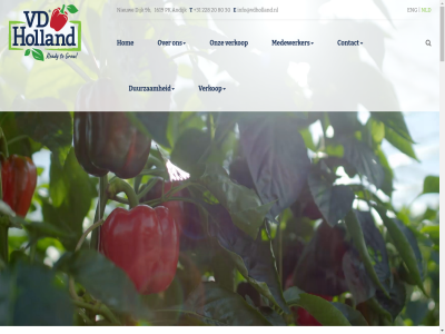 +31 1 1619 1693 2 20 2026 228 23 26 3 30 4 5 80 9 9b afdel all andijk b band bedrijf behor bekend bekijk best biologisch bv certificat contact cooperatie dijk disclaimer durv duurzam e echt eng extra garander generatie geoptimaliseerd gespecialiseerd glasopstand goed goforit groen grot grower hanter hel holland hom i iii info@vdholland.nl informatie informel kas kort kwaliteit kwekerij label les lid lijn mail medewerker meest modern nederland nem nieuw nieuwst nld noem nr nx omvang onszelf onwijs onz paprico paprika paprikateelt pk planetprof privacy recht s sfer sit specialist stat stelt t techniek teelt teeltmethod teeltwijz teler trot tuss uitsluit uniek united vakmanschap vd veenakker verder verhal verklar verkooporganisatie verkop verschill vestig voorbehoud waardor we werk wervershof wij winkel
