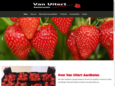 -24555151 -53118045 06 1 13a 2 29 3 300 48 5305 5324 aangeslot aardbei afgezet afzet all ammerzod ap best bommelerwaard buit cb contact continuiteit daarnaast del diver duurzam eig email ernar europes fruit gespecialiseerd gewenst groent haarstrat hog hom huisverkop info@vanuitertaardbeien.nl jl joost kass klant kwaliteit kwek land lever lid locatie locaties mariska markt nederland ongever onz plant product recht schapp soort stat stelling strev teelt teler uitert vaandel vacatures veiling verpak verschill verzorgt vind vindt voorbehoud waaldijk war we welk wij wordragensestrat zaltbommel zuilichem