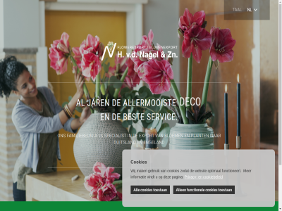all allen allermooist best bloem blumenexport cookiebeleid cookies duitsland engeland export familiebedrijf flower functionel gebruik h holland jar kies land locatie nagel nl plant privacy servic specialist tal toestan v.d zn