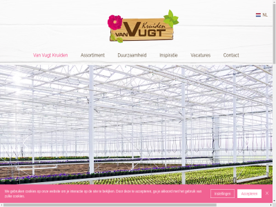 -625660 0180 1 16 24433759 2988 aanbod accepter actuel afnemer akkoord algemen allen assortiment b.v babyleaf bekijk bloem brochur certificat collega contact cookies da dag deelt doel doet download duurzam dynamisch echt eetbar familiebedrijf ga gebruik gevestigd gewerkt gezamen goed groeiend h hobby hoogzandweg houdbar ieder info@vanvugtkruiden.nl innover inspiratie instell interactie jaarrond jij kinder kruid kruidenleverancier kruidennieuw kvk kwaliteit kwaliteitscertificat liefst meld nederland nieuw nieuwsbrief nieuwst nl onlin ontdek ontwikkel onz oprichter/eigenaar perfect piet privacy product reglement ridderkerk ruim sam schoonzon sit smaakvoll smak soort specialist tel telefon teler uniek vacatur vacatures ver verpak verpakker vier volg voorwaard voorzien vugt we websit wekelijk welkom wij word zulk
