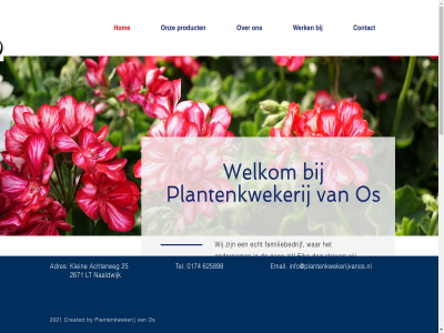 0174 2021 25 2671 625898 achterweg adres assortiment bekijk betrok by contact created dag echt elk email familiebedrijf gen hom info@plantenkwekerijvanos.nl klein kwaliteit lt mijnsit naaldwijk ondernem onz os perfectie plantenkwekerij product strev tel war welkom werk wij zit