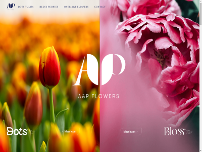 06 15 15084665 1619 17 1998 a aankom aankomst adres all allen ander andijk ap arrow bedoeld behandel beter betrouw bewust blijv bloei bloem blos boll bos boss bot breng buitenland collection contact content control daardor dijk direct doordat dot draait eigenwijs eindresultat elegant elegantie elk ervar europa export exporter fel flower gan gemengd geplant gesned geteeld gewon goed gren grot haast helder hog hoogwaard hoort ial info@apflowers.nl jar karakter kas kennis keyboard kiez klant klas kleur knopp kom kort krijg kwaliteit langer later left levend lever lez liefd mag massa mis mogelijk naartoe natur net nieuw nik noodzak onz oost oost-europa openkom opvall p peonies per perfect pioen pioenenlabel pk poespas precies probleemlos right s schiphol sind skip soc soort spreekt stan stat stevig strak temperatur terug tikkeltj timing to topconditie trek tulip tulp tulpenlabel vandan veld verpak verr verrass verwacht vind vliegtuigdoz volg vooraf vooral waarborg wacht war we weg wij zer zie zoal zodat zoek zorg zwar