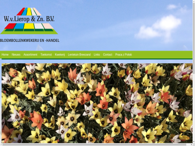 12 1949 20 250 31 5 6 70 724 anna arjan assortiment b.v bedrijf begon bijzonder bloemboll bloembollenkwekerij bolgewass bred breezand consument contact content dienst eig eric ervar exclusief exporteur familiebedrijf fendt geleid gen gerard geteeld gevestigd grasweg grond handelar hectar holland hom importeur jar kwaliteitsproduct kwekerij laatst later lelies lentetuin lierop link narciss nev nieuw noord noord-holland ongever opgericht oppervlakt paulowna paulownapolder peter plus polski praca productiebedrijf profi provincie ron ruim sam schuurmedewerker skip to toekomst toonaangev tulp uitgegroeid vacatur vario vast via vind w weg welkom werknemer wij william wim z zn zorg
