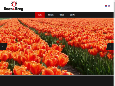 +31 1619 208004 228 29 actief algemen allen andijk bedrijfsvoer bon breg bv contact copyright cornelis creativiteit daarvan diver ga gelov goforit happy hom info@boonbreg.nl kans kenmerk kom kuinweg next nieuwsgier onz openstan pe previous productieproces resultat s sam samenwerk sitemap snel tak the together tulipiz verder video voorwaard waarin websit wij world