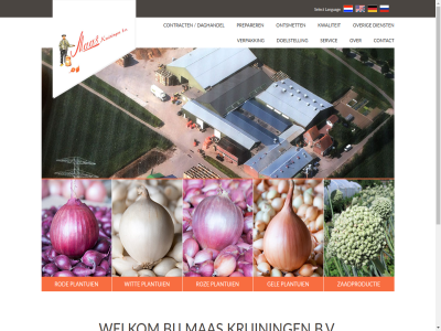 +31 113 2016 381585 383011 b.v condition contact contract daghandel dienst doelstell e gel gerelateerd kruining kwaliteit languag leverancier mas office@maas-kruiningen.nl ontsmet over p pickles plantui preparer product rod roz select servic sjalot term tf verpak welkom wit zaadproductie