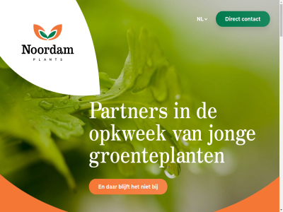 2023 2026 blijft contact direct groenteplant info jong kwekerij nl noordam opkwek panorama partner plant privacy studios websit